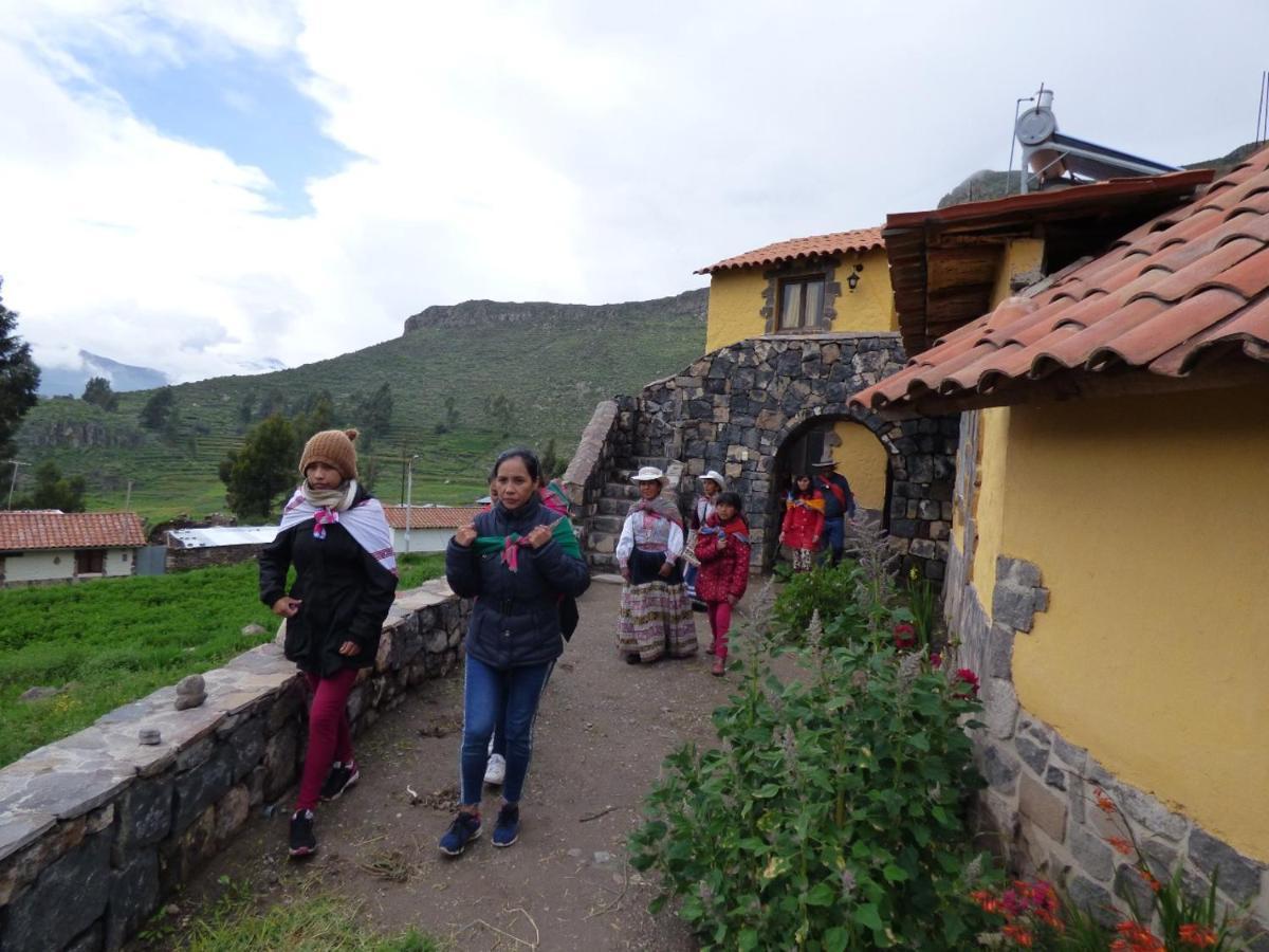 Lodge Mirador San Antonio- Colca